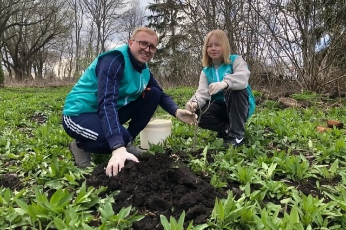    Своя рубашка ближе к делу.