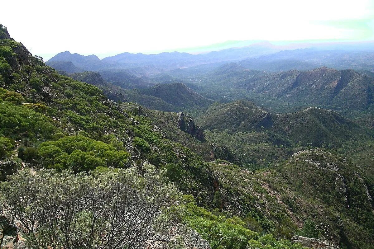 Фото зеленых холмов Уилпена-Паунд