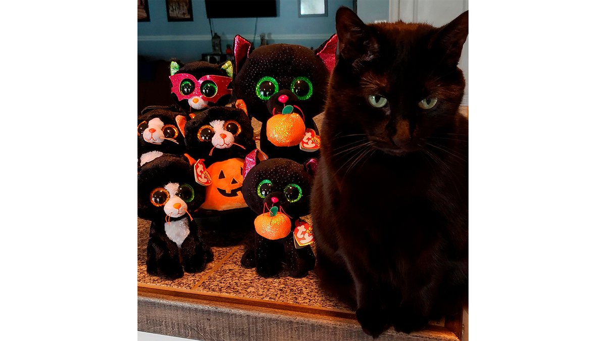    Мастер тьмы и его плюшевая армия.