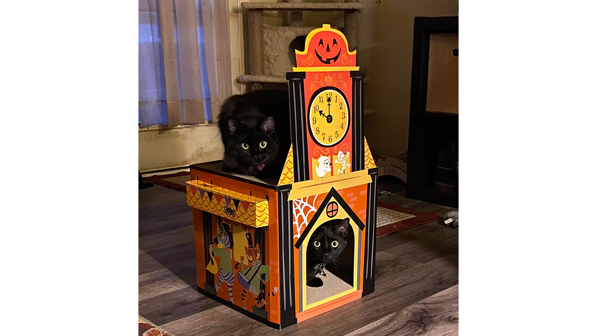    Даже картонные коробки могут быть эстетичными.