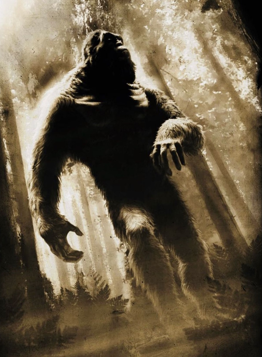 Они однозначно умнее обезьян, а возможно, и людей. (Фото: i.pinimg.com).