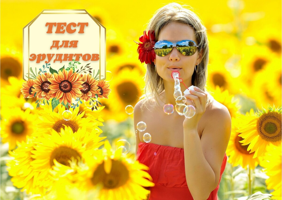 Источник изображения: pixabay.com, дизайн автора публикации