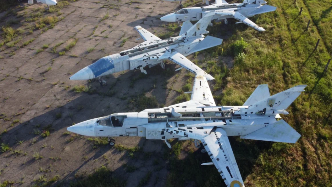    Фото: freepik.com