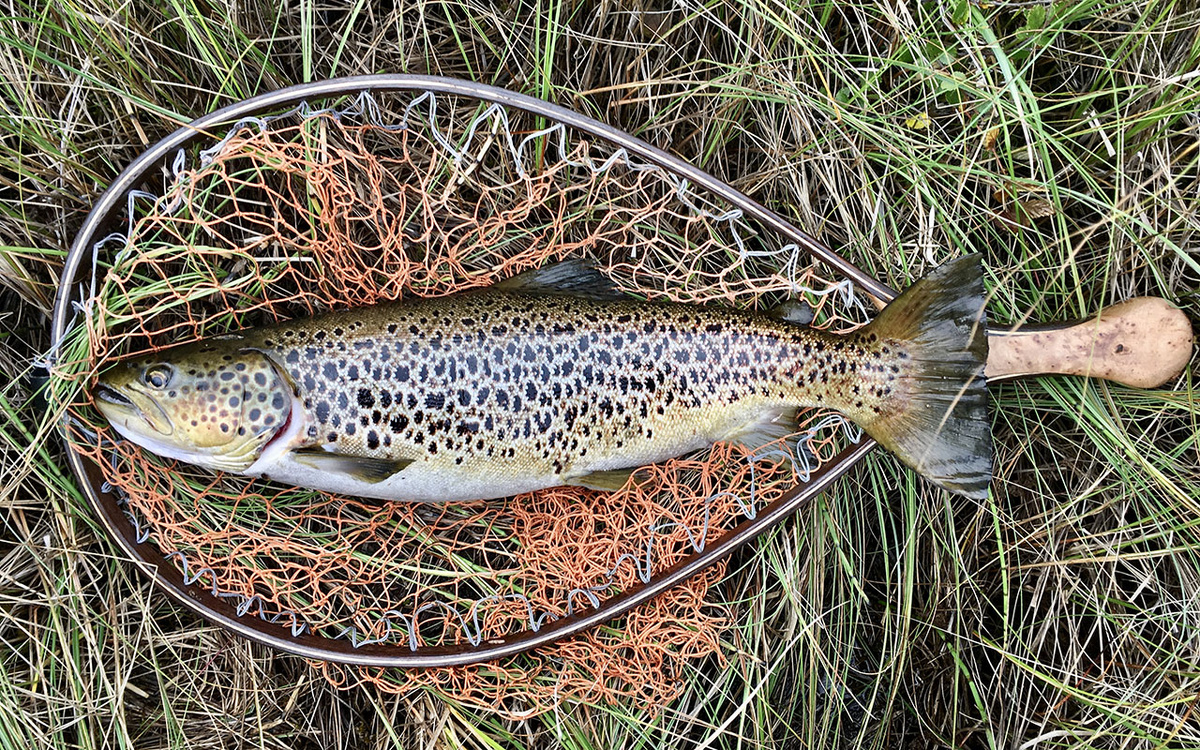 фото  с сайта https://www.fishing-777.ru/index.php/contact#map 