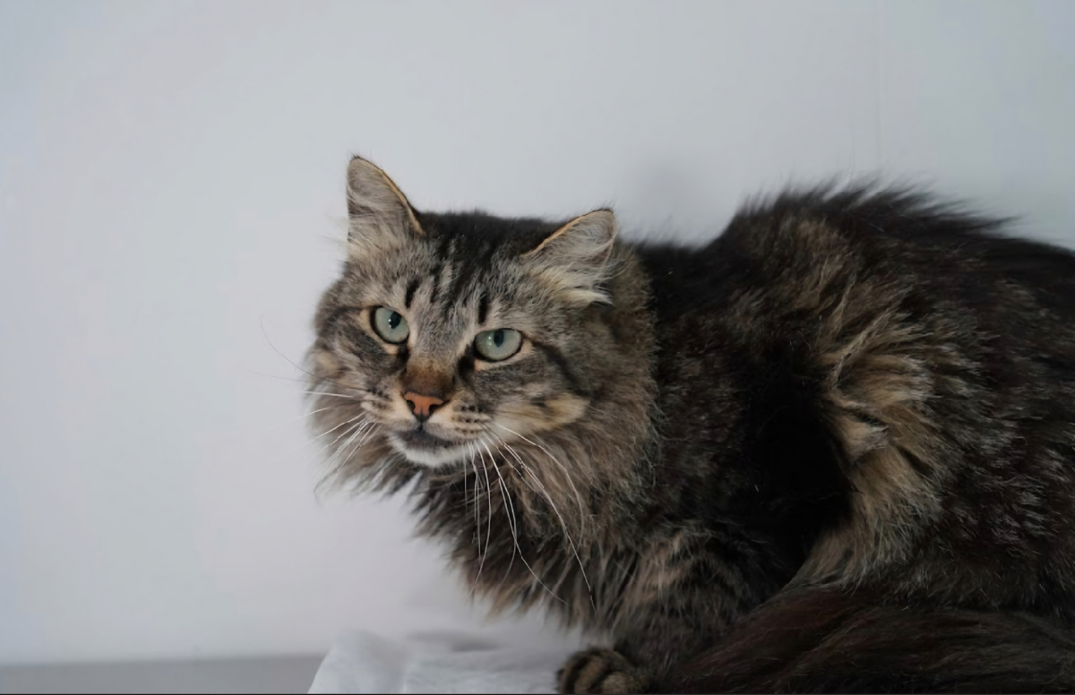 Марусенька 