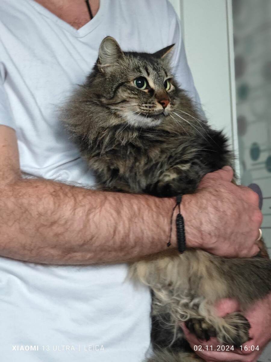 Марусенька