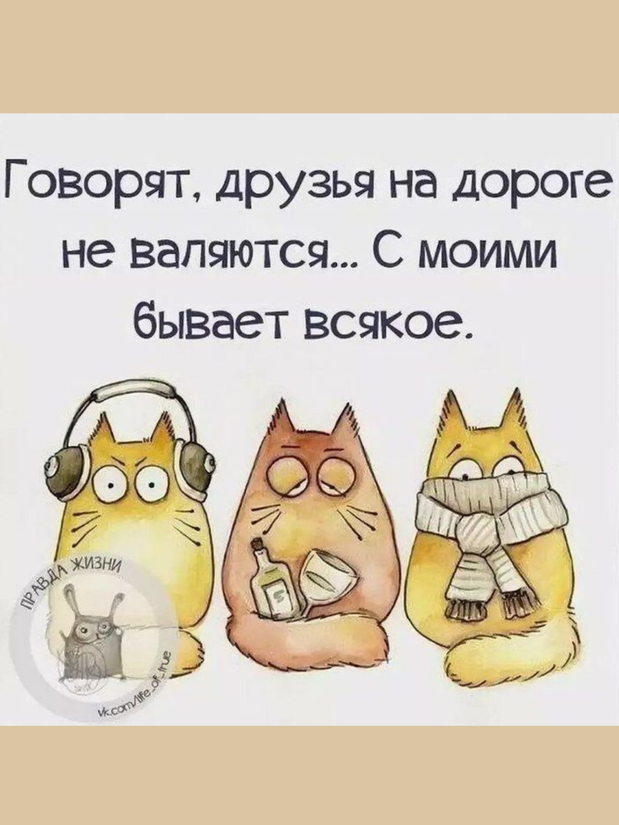 Афоризмы в картинках