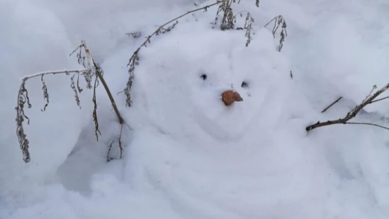     Снег в алтайском селе. Много снега. altapress.ru