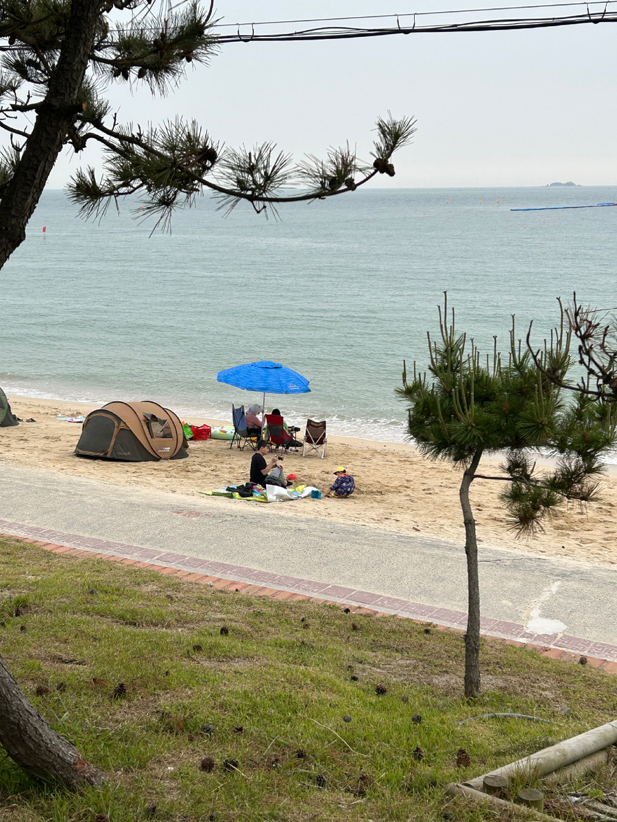 Летний отдых в Корее. Взяли палатку и поехали на море.