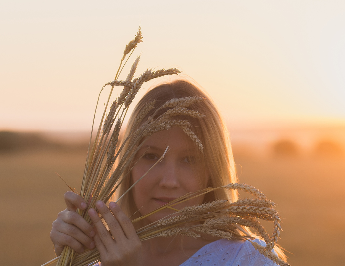 Автор привлекает деньги