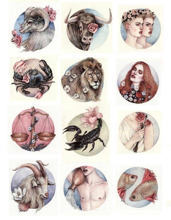 Картинка с просторов интернета