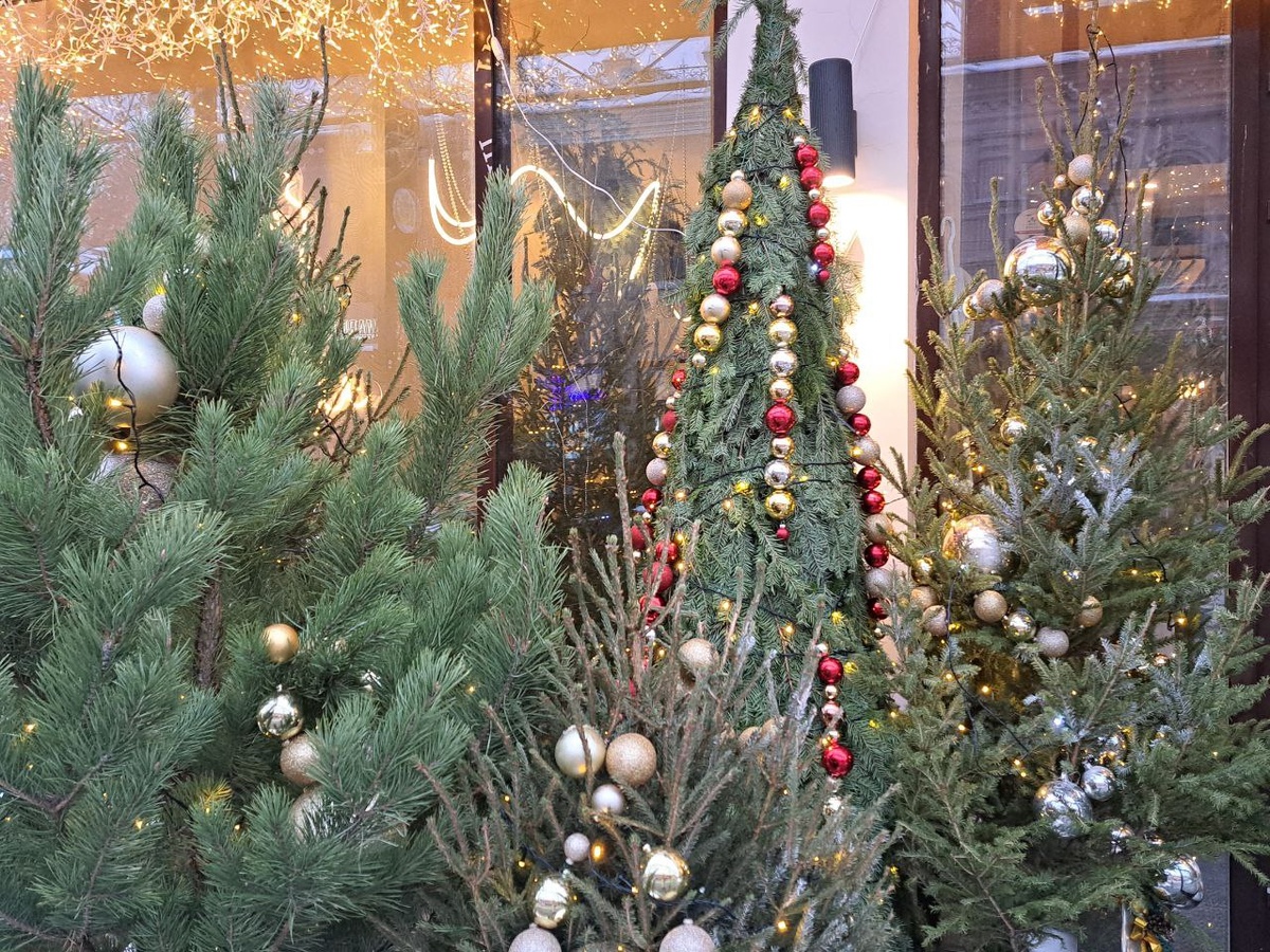 Новогодние елки во Владивостоке будут продавать по семи адресам.  Фото: Фото: ФедералПресс / Карина Кряжева