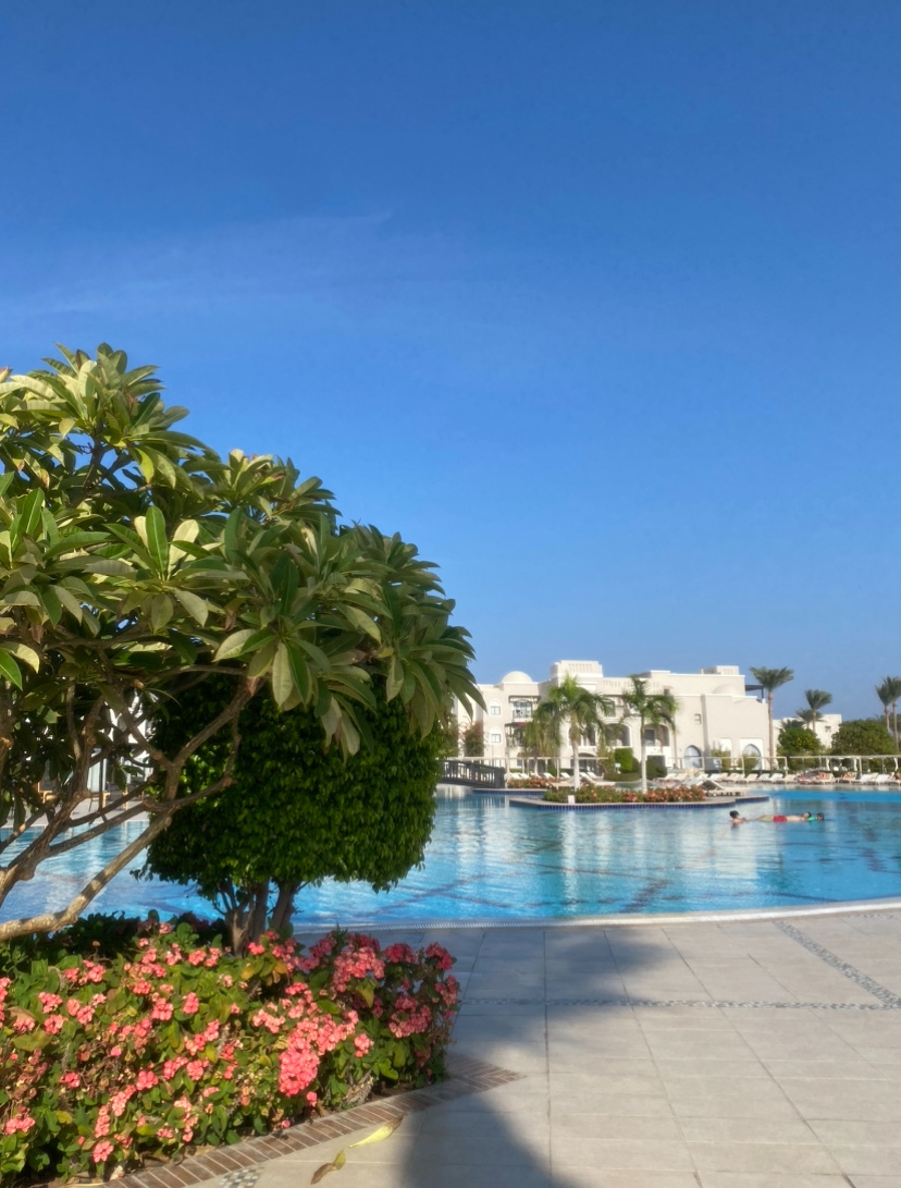 Steigenberger Alcazar 5* Египет