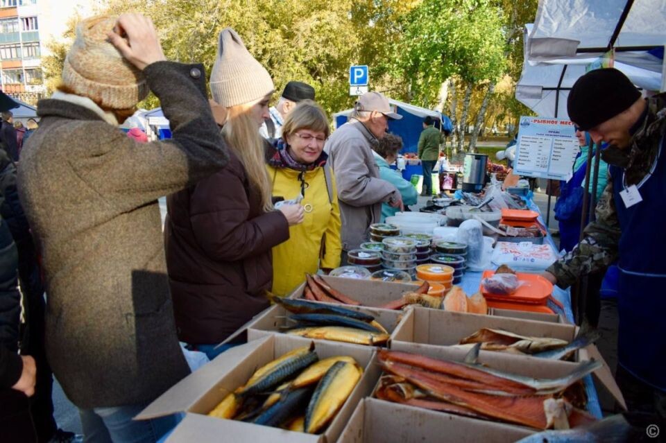    Осенняя ярмарка в Барнауле, 2024 год. Источник: Barnaul.org