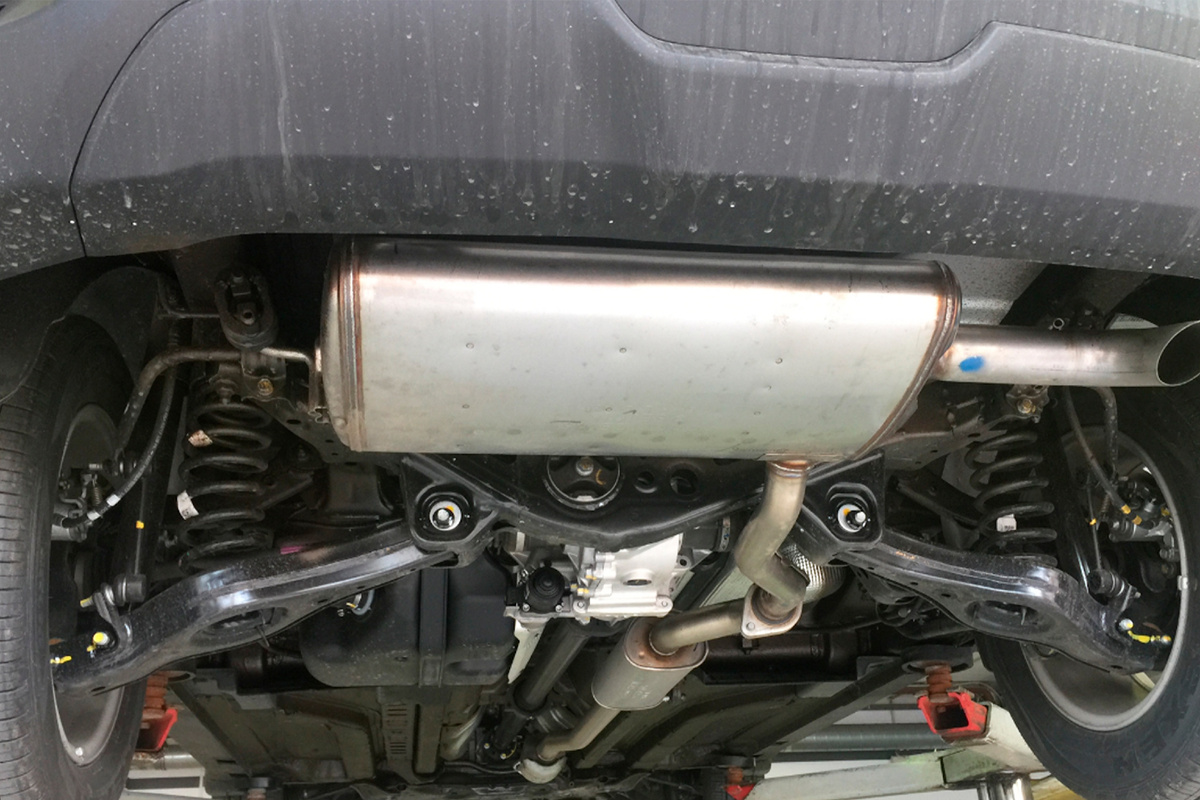 Фото из источников: https://clck.ru/3EMeLX