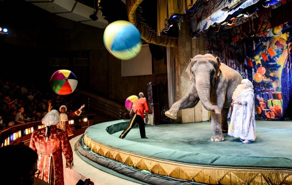 Билеты на шоу в уголке дедушки Дурова