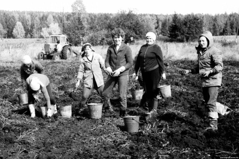 Фото из интернета 