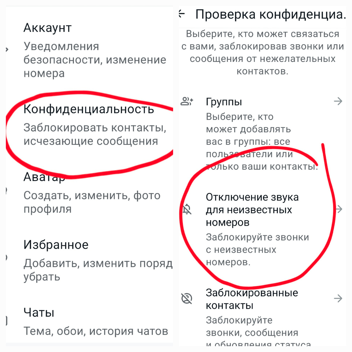 Коллаж автора. 