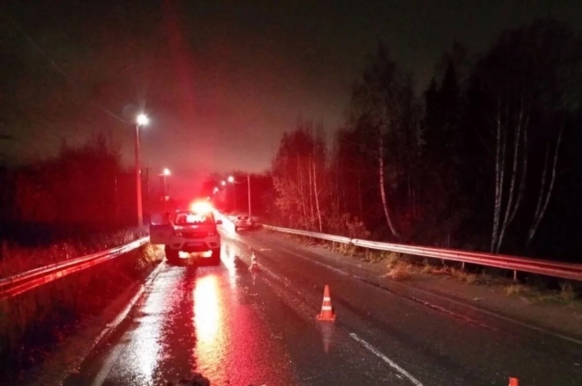    Пьяный водитель иномарки сбил насмерть пешехода в Удмуртии