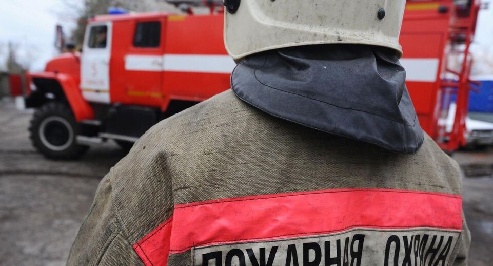    РИА «Новости»