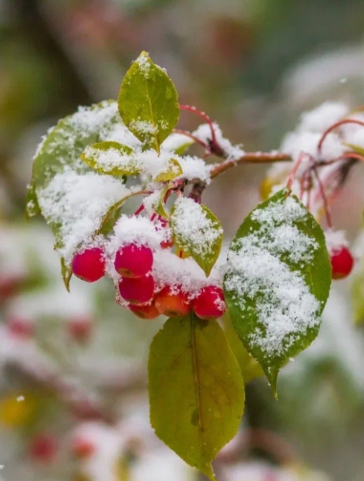 Тепло с холодом, как грусть с радостью