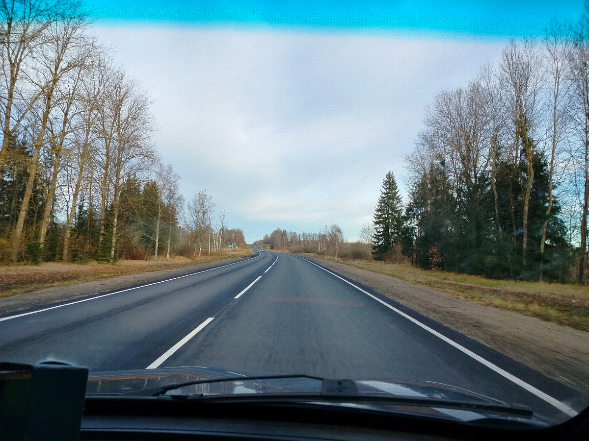 По пути я вглядывалась в окружающие просторы в поисках золотистых деревьев, их осталось очень и очень мало