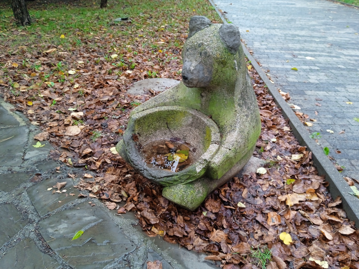 Грустный мишка тихо плачет, ведь разбили его тазик...