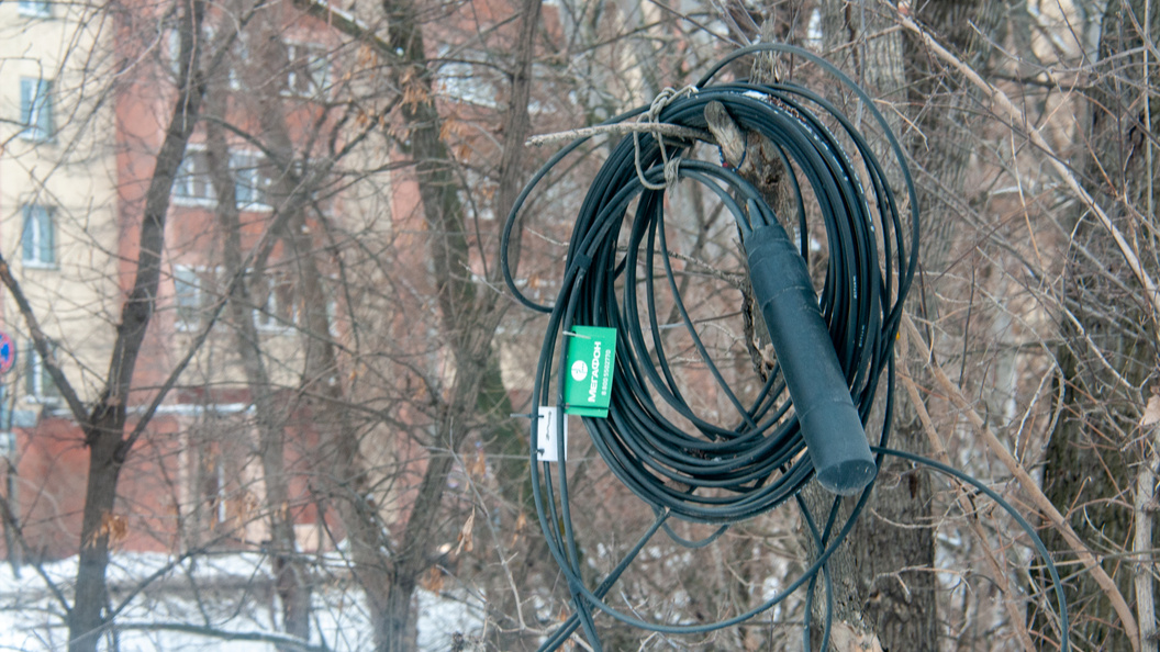    Svetlana Vozmilova/Global Look Press