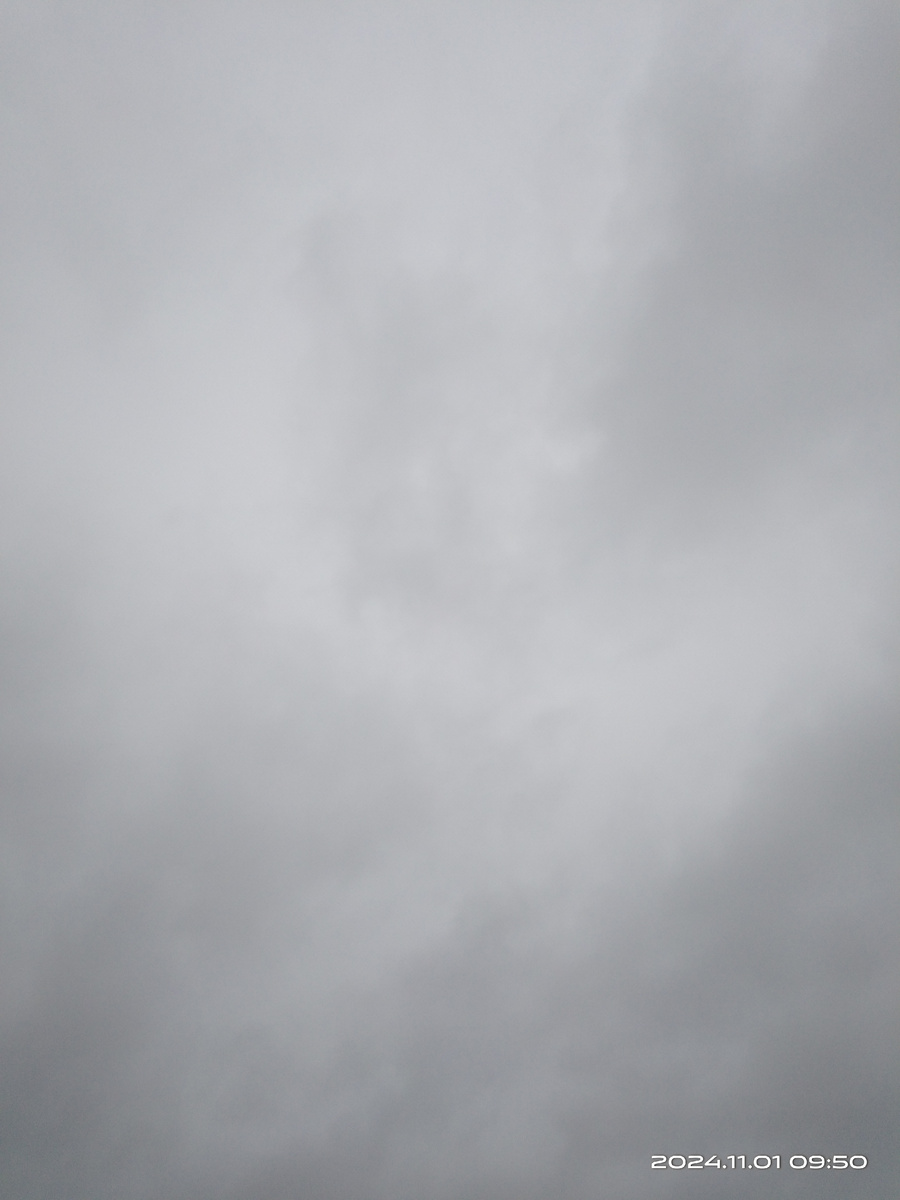 Фото из личного архива 