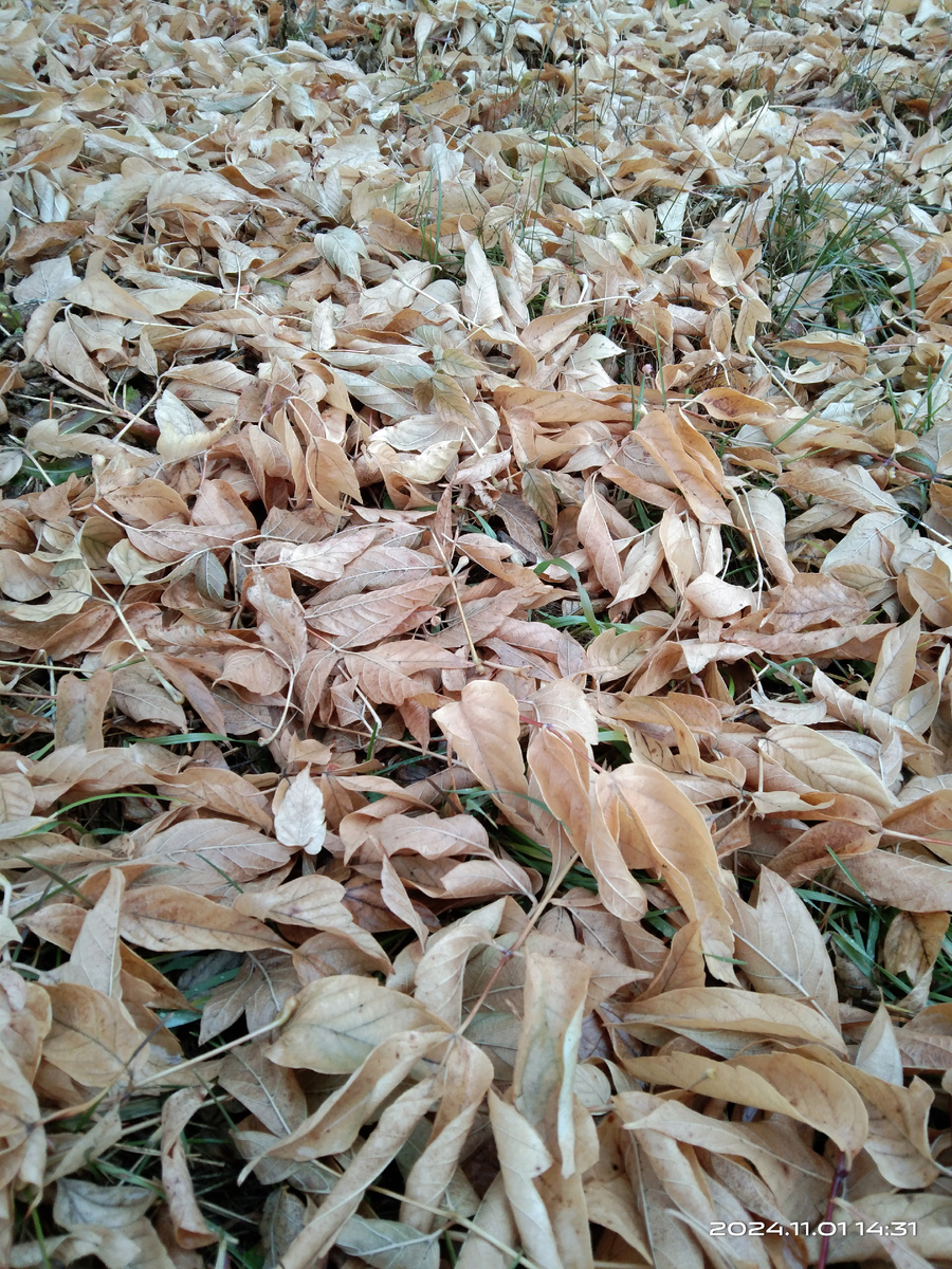 Фото из личного архива 