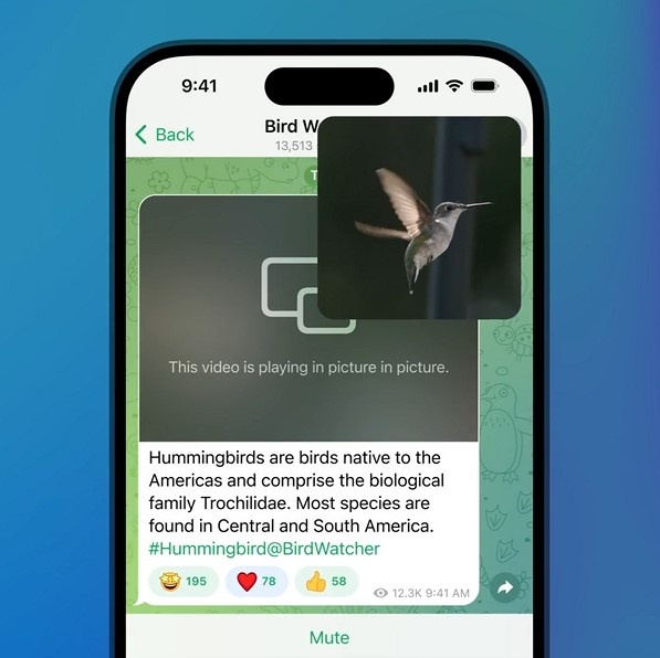    Обновился Telegram: новые настройки видео и улучшения для чатов