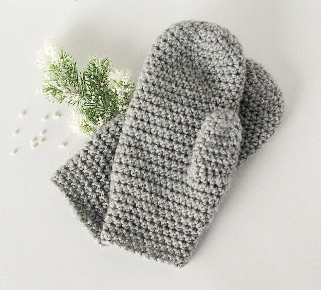    Простейшие   
Источник: Megan Meyer