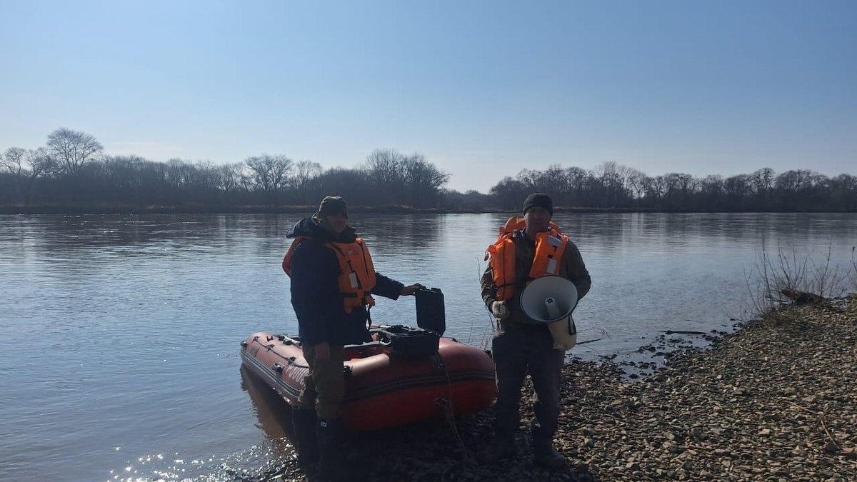     Источник: primgochs