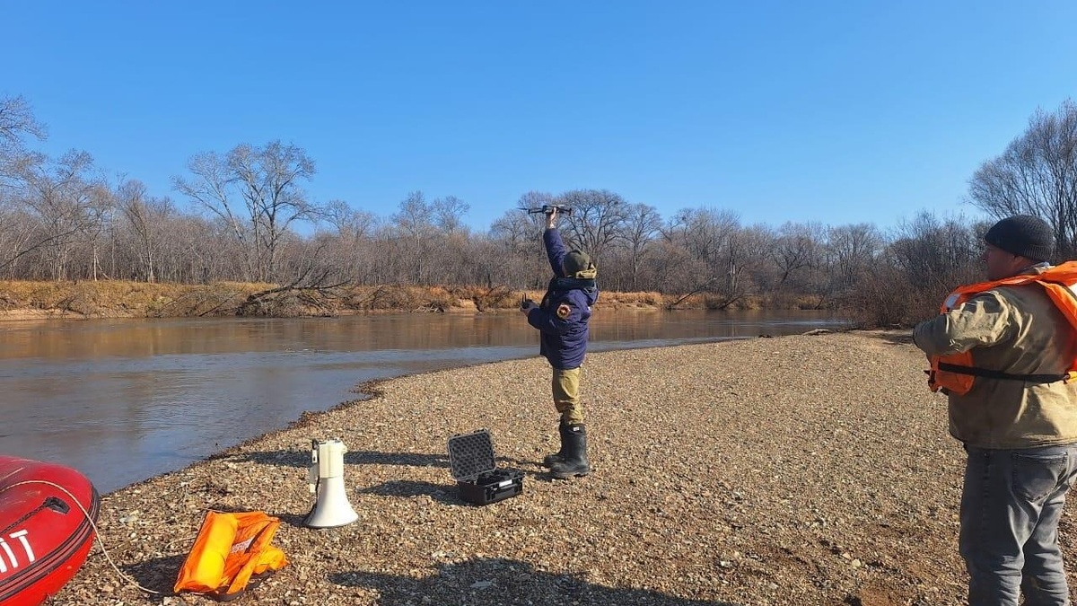     Источник: primgochs