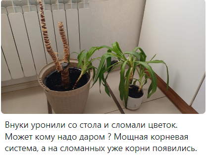 На вид вполне себе ничего