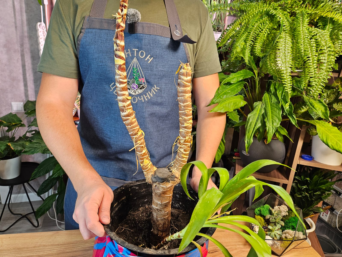 Приступаем к осмотру