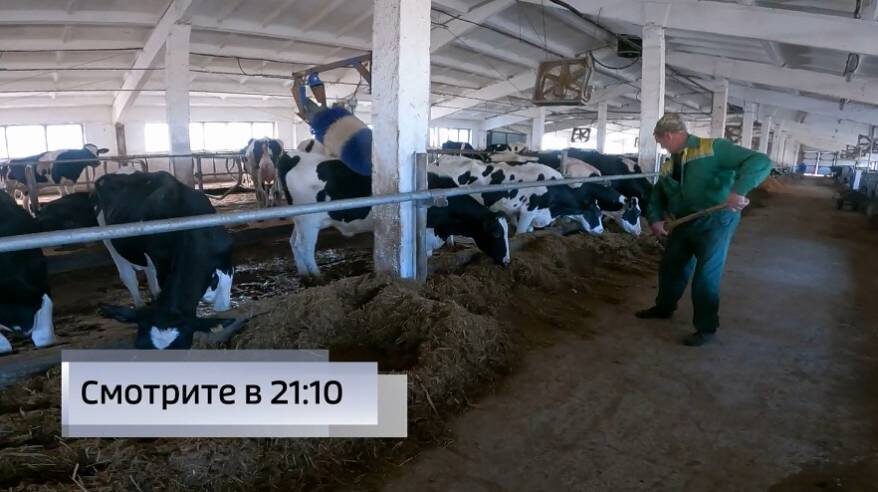    Источник фото: