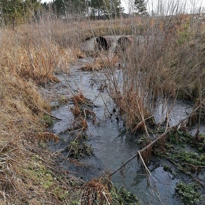 В Иркутске замечен сброс канализационных стоков в микрорайоне Зеленый. Как отметили в пресс-службе Байкальской межрегиональной природоохранной прокуратуры, сточные воды текут по земле вблизи реки Топка.