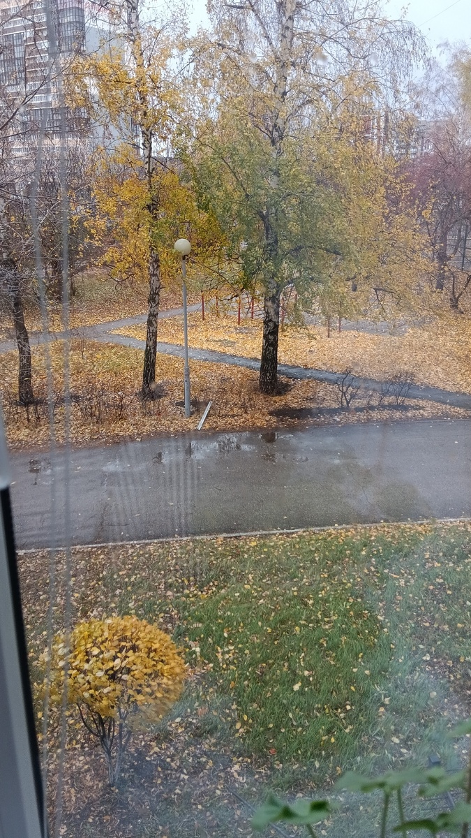 Фото автора. Вчерашний дождливый день.