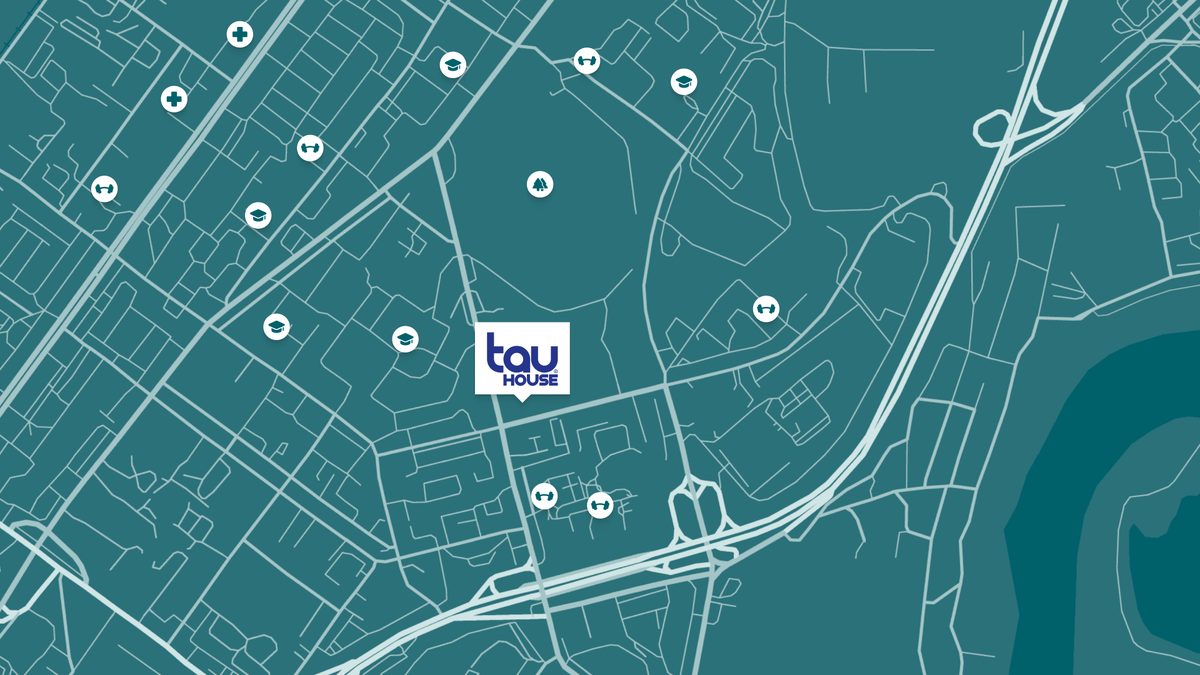 Окружение Tau House