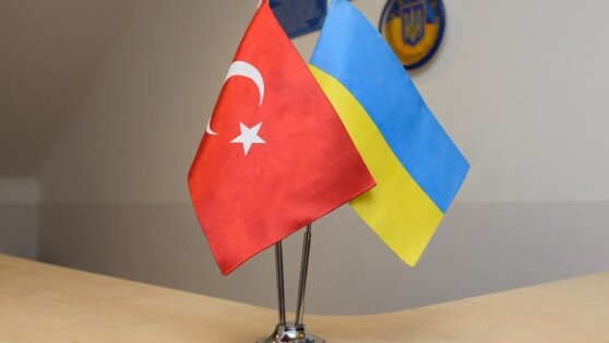    Лавров заявил о недоумении от военного сотрудничества Украины и Турции Алина Городниченко