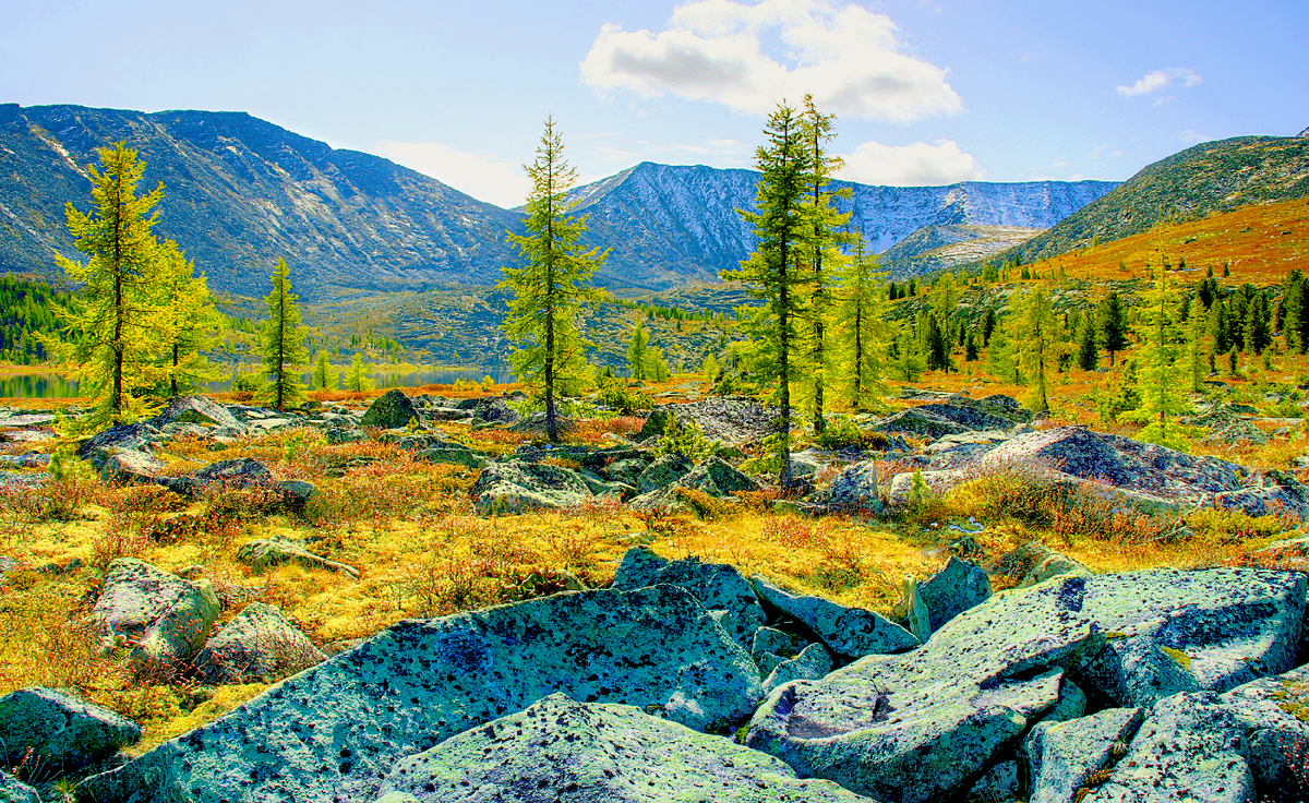 Фотография, стихотворение Василия Глуцкого