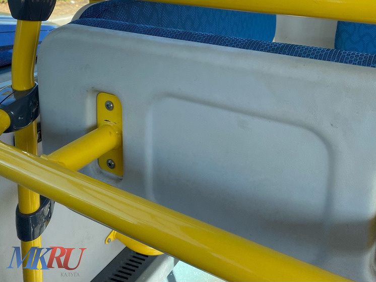     Фото: "МК в Калуге"