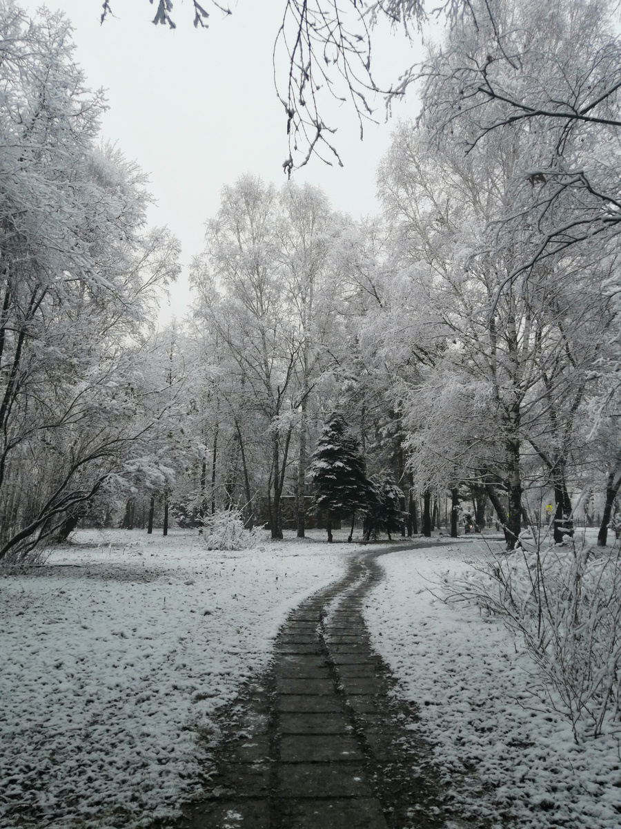 В парке