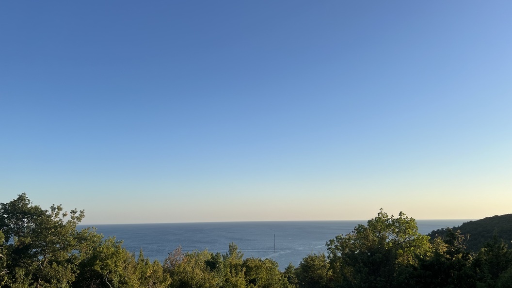    Фото: мэрия Сочи