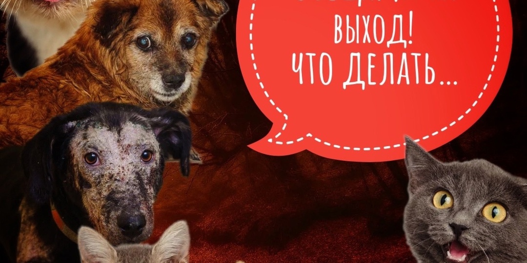 С вещами на выход! Самый ТЯЖЕЛЫЙ СБОР. Аренда!