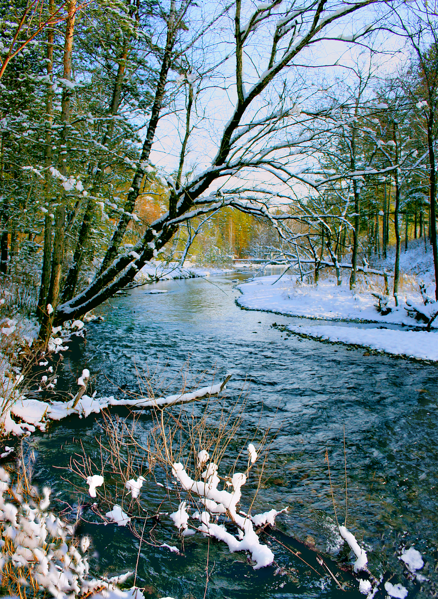 Фотография, стихотворение Василия Глуцкого