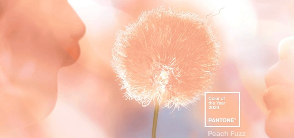  📷Фото: pantone.net.au