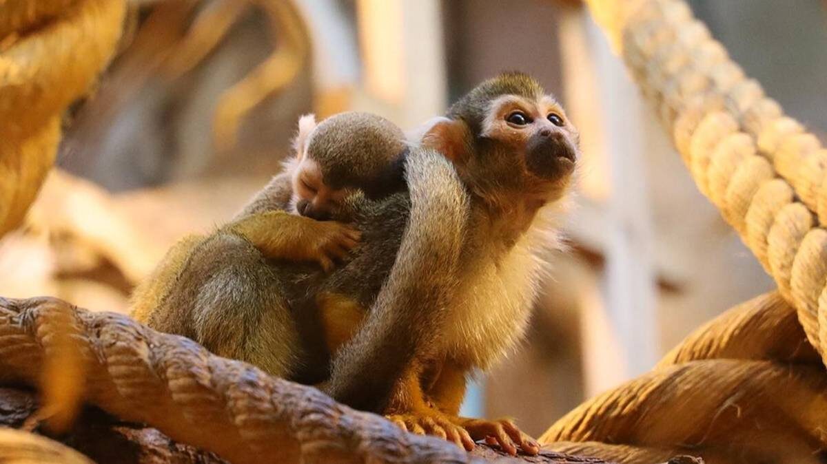    Фото: mos.ru / Официальный сайт мэра Москвы