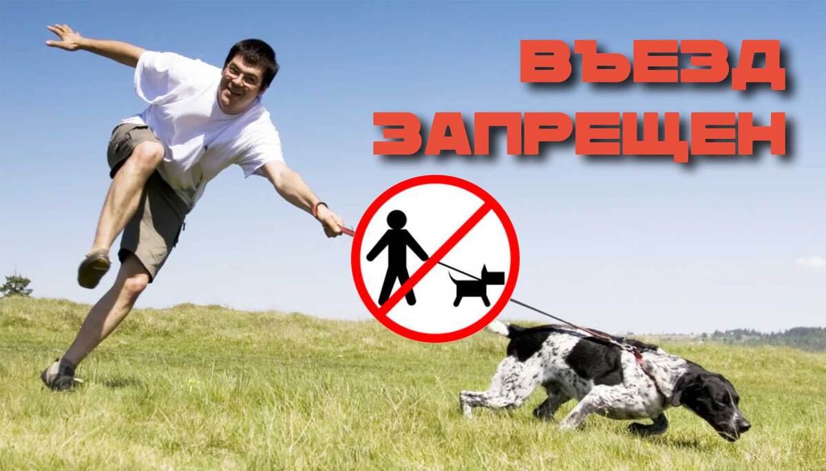 Фото: avatars.dzeninfra.ru